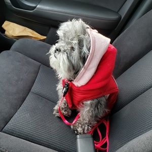 Meet your Posher, Pam